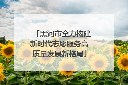 黑河市全力构建新时代志愿服务高质量发展新格局