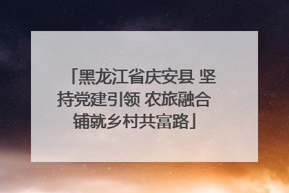 黑龙江省庆安县 坚持党建引领 农旅融合铺就乡村共富路