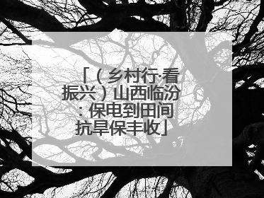 （乡村行·看振兴）山西临汾：保电到田间 抗旱保丰收
