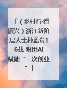 （乡村行·看振兴）浙江新阶层人士种蓝莓16载 盼用AI赋能“二次创业”