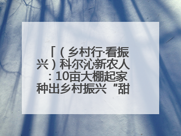 （乡村行·看振兴）科尔沁新农人：10亩大棚起家种出乡村振兴“甜蜜果”