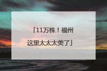 11万株！福州这里太太太美了