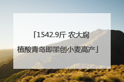 1542.9斤 农大腐植酸青岛即墨创小麦高产