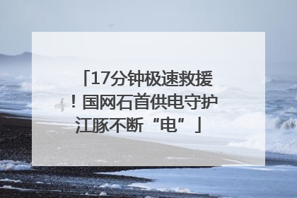 17分钟极速救援！国网石首供电守护江豚不断“电”