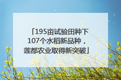 195亩试验田种下107个水稻新品种，莲都农业取得新突破