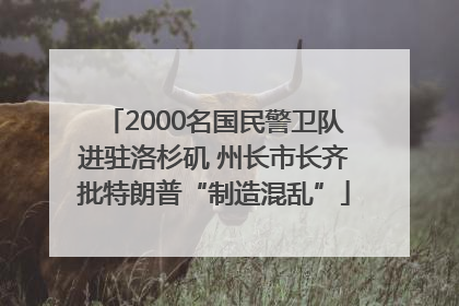2000名国民警卫队进驻洛杉矶 州长市长齐批特朗普“制造混乱”