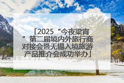 2025“今夜梁宵”第二届境内外旅行商对接会暨无锡入境旅游产品推介会成功举办