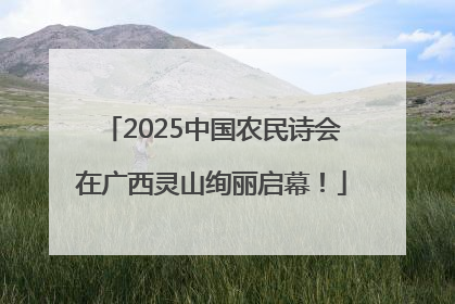 2025中国农民诗会在广西灵山绚丽启幕！