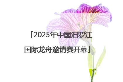 2025年中国汨罗江国际龙舟邀请赛开幕