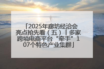 2025年廊坊经洽会亮点抢先看（五）丨多家跨境电商平台“牵手”107个特色产业集群