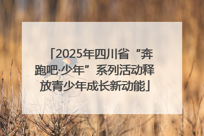 2025年四川省“奔跑吧·少年”系列活动释放青少年成长新动能