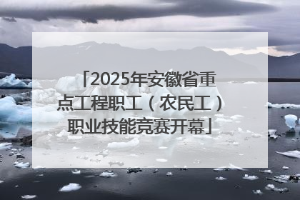 2025年安徽省重点工程职工（农民工）职业技能竞赛开幕