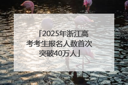 2025年浙江高考考生报名人数首次突破40万人