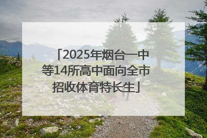 2025年烟台一中等14所高中面向全市招收体育特长生