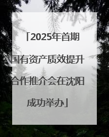 2025年首期国有资产质效提升合作推介会在沈阳成功举办