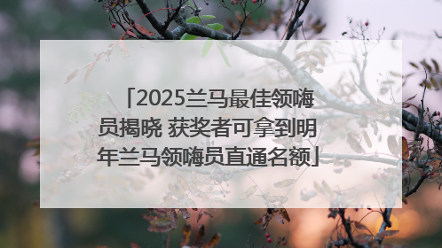 2025兰马最佳领嗨员揭晓 获奖者可拿到明年兰马领嗨员直通名额
