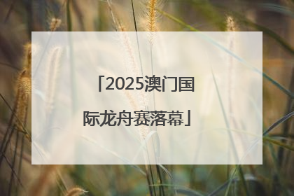 2025澳门国际龙舟赛落幕