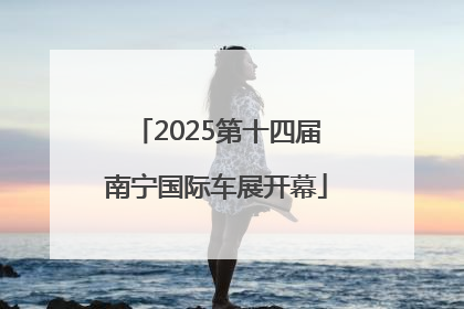 2025第十四届南宁国际车展开幕