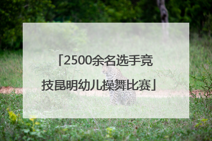 2500余名选手竞技昆明幼儿操舞比赛