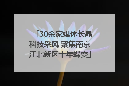 30余家媒体长晶科技采风 聚焦南京江北新区十年蝶变