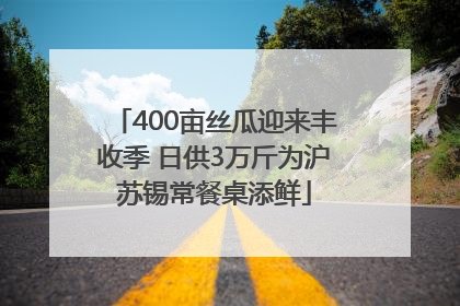 400亩丝瓜迎来丰收季 日供3万斤为沪苏锡常餐桌添鲜