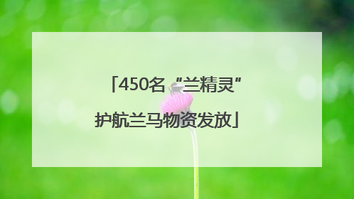 450名“兰精灵”护航兰马物资发放