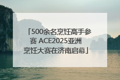 500余名烹饪高手参赛 ACE2025亚洲烹饪大赛在济南启幕