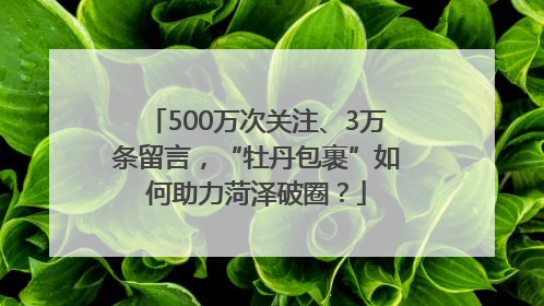 500万次关注、3万条留言，“牡丹包裹”如何助力菏泽破圈？