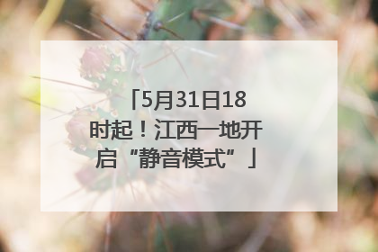 5月31日18时起！江西一地开启“静音模式”