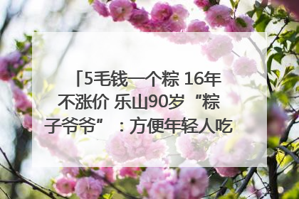 5毛钱一个粽 16年不涨价 乐山90岁“粽子爷爷”：方便年轻人吃口热乎早饭｜封面头条