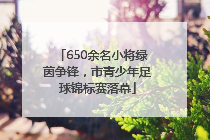 650余名小将绿茵争锋，市青少年足球锦标赛落幕