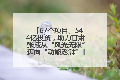 67个项目、544亿投资，助力甘肃张掖从“风光无限”迈向“动能澎湃”