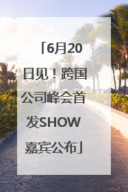 6月20日见！跨国公司峰会首发SHOW嘉宾公布