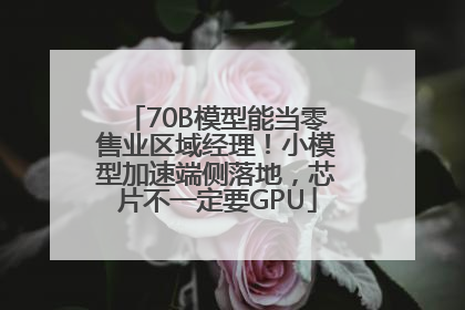 70B模型能当零售业区域经理！小模型加速端侧落地，芯片不一定要GPU