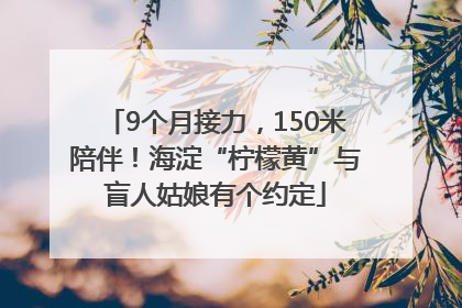 9个月接力，150米陪伴！海淀“柠檬黄”与盲人姑娘有个约定
