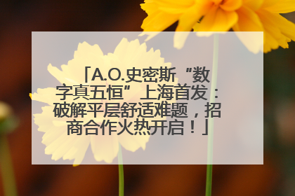 A.O.史密斯“数字真五恒”上海首发：破解平层舒适难题，招商合作火热开启！