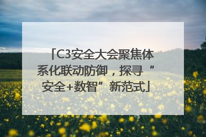 C3安全大会聚焦体系化联动防御，探寻“安全+数智”新范式