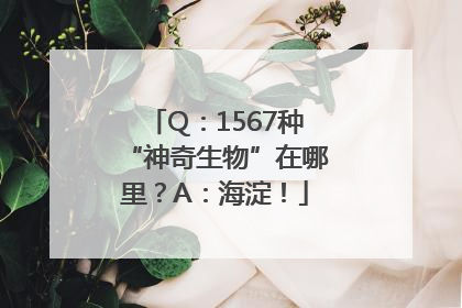 Q：1567种“神奇生物”在哪里？A：海淀！