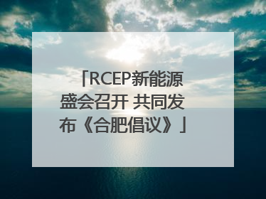 RCEP新能源盛会召开 共同发布《合肥倡议》