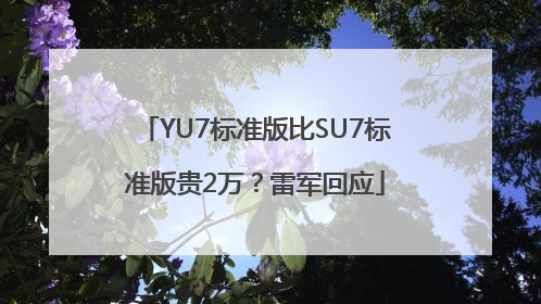 YU7标准版比SU7标准版贵2万？雷军回应